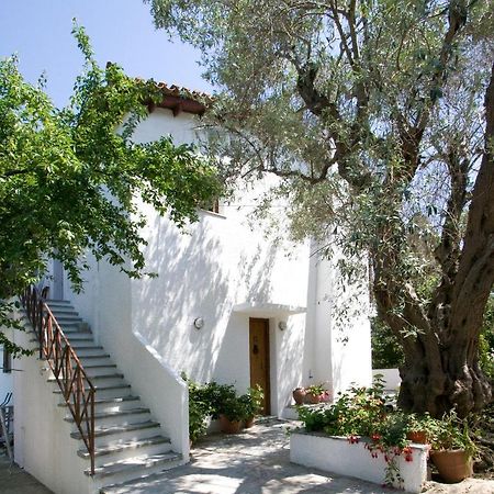 Villas Alexandra Skiathos Platanias  المظهر الخارجي الصورة