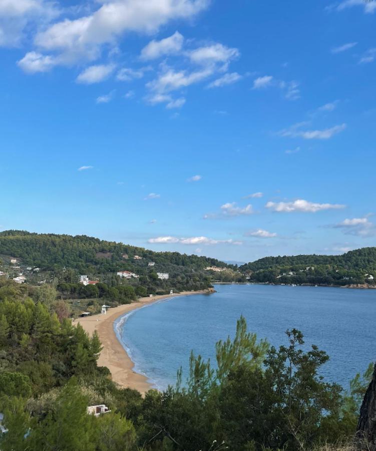 Villas Alexandra Skiathos Platanias  المظهر الخارجي الصورة