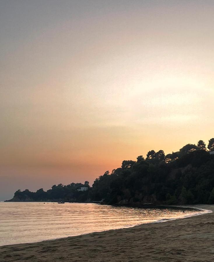 Villas Alexandra Skiathos Platanias  المظهر الخارجي الصورة