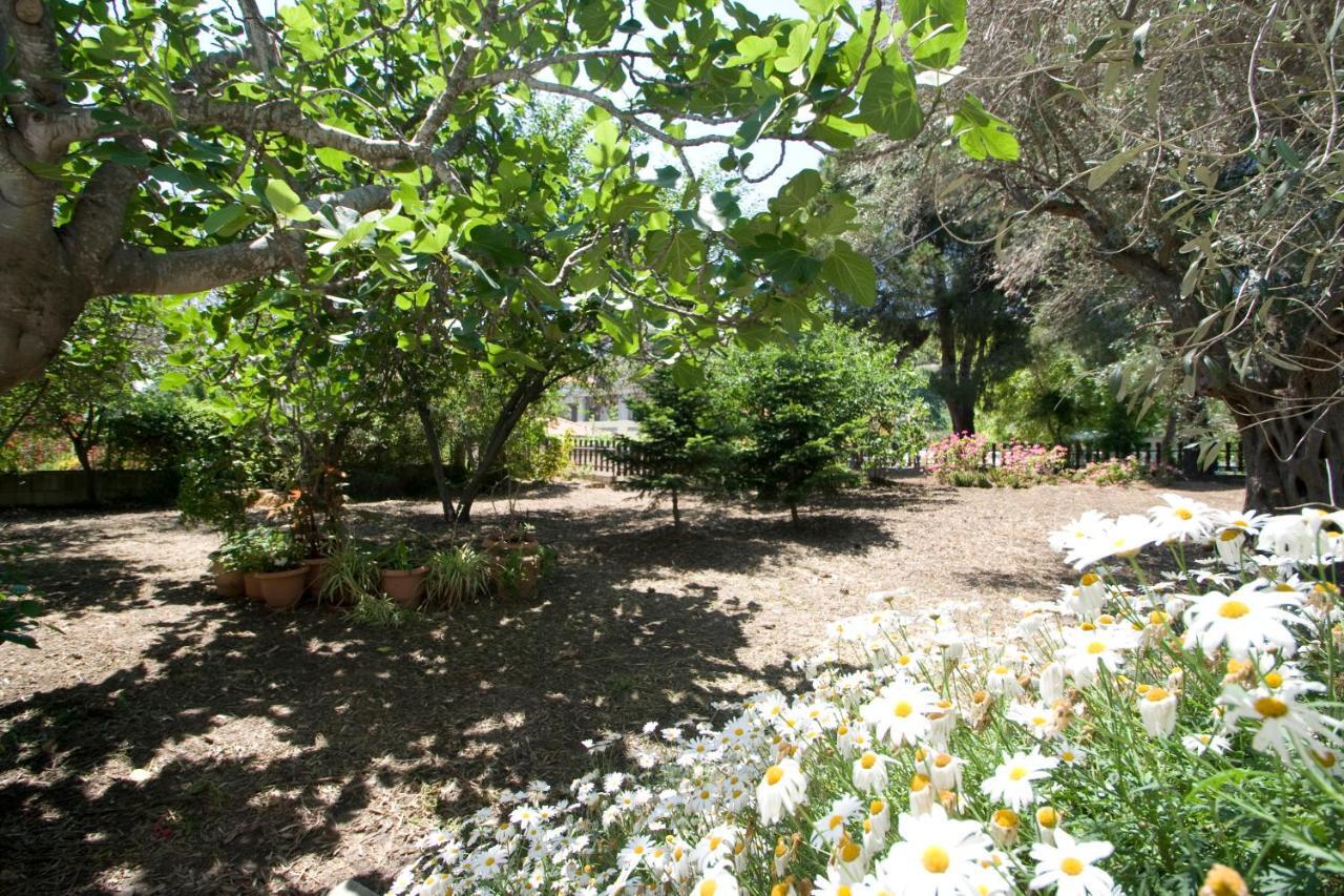 Villas Alexandra Skiathos Platanias  المظهر الخارجي الصورة