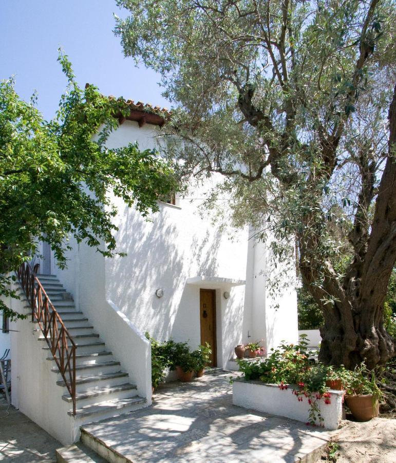 Villas Alexandra Skiathos Platanias  المظهر الخارجي الصورة