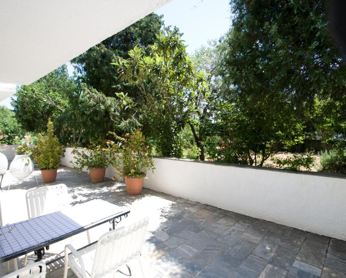 Villas Alexandra Skiathos Platanias  المظهر الخارجي الصورة