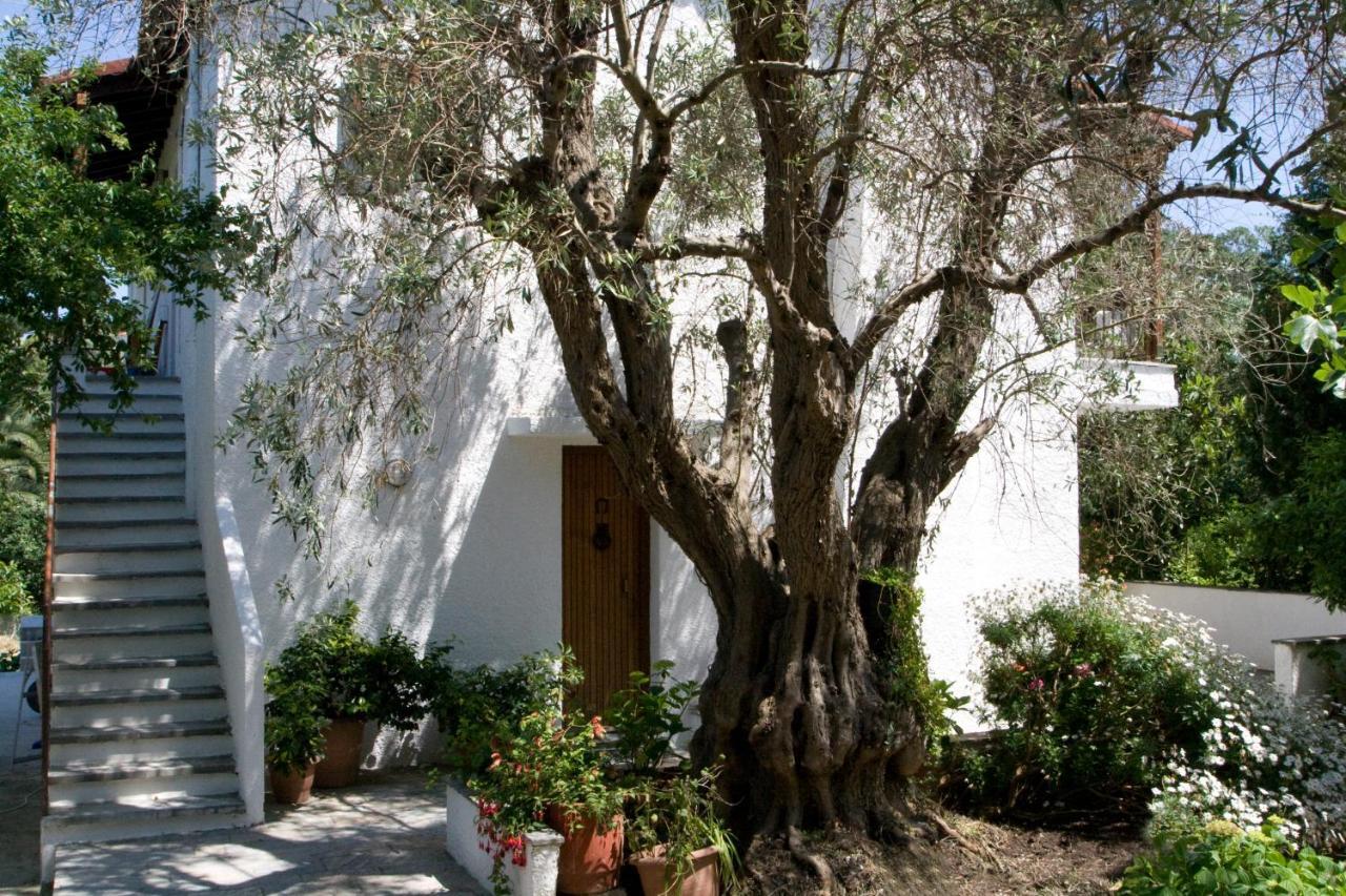 Villas Alexandra Skiathos Platanias  المظهر الخارجي الصورة